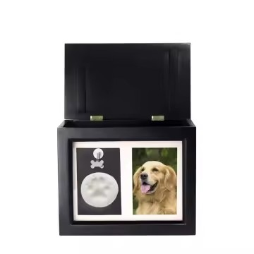 The Memory Box
